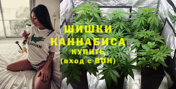 мяу мяу мука Белокуриха