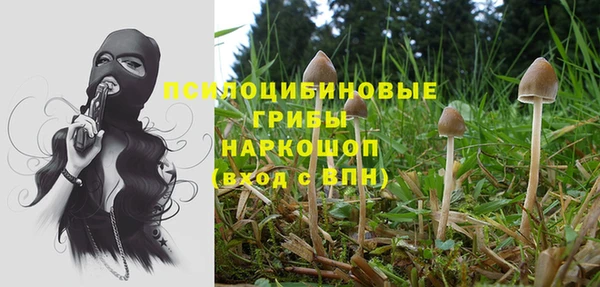 мяу мяу мука Белокуриха