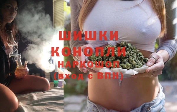 мяу мяу мука Белокуриха