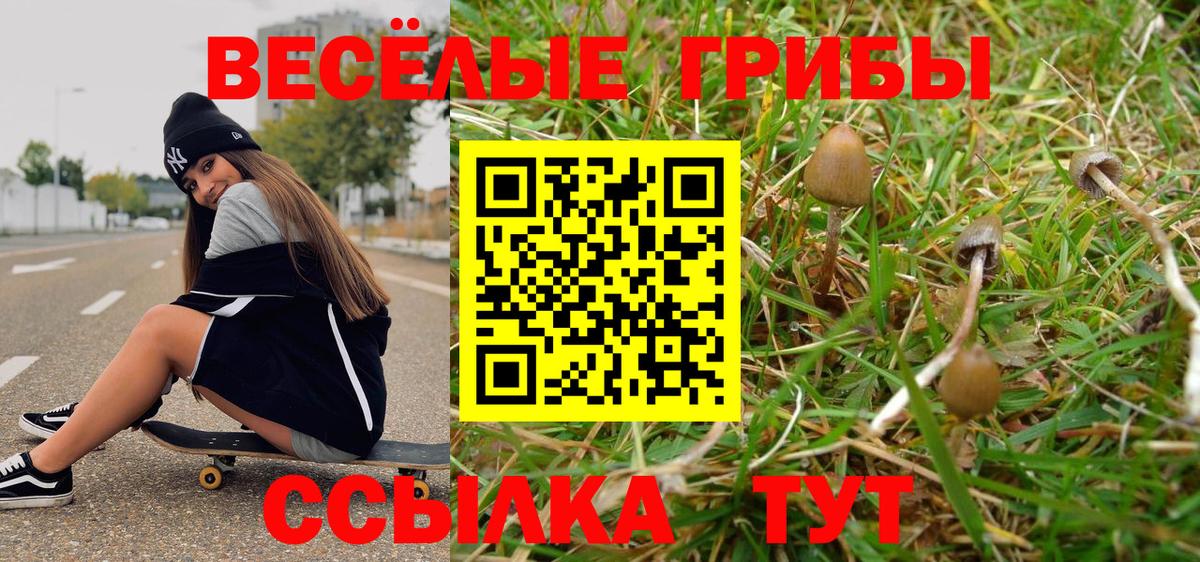 Псилоцибиновые грибы прущие грибы Реутов