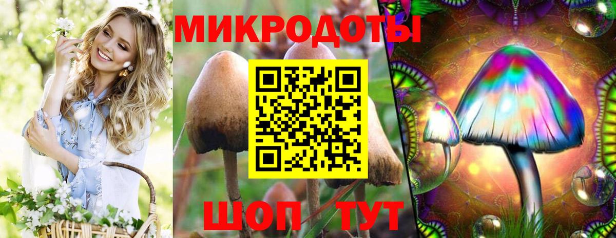 A PVP Реутов
