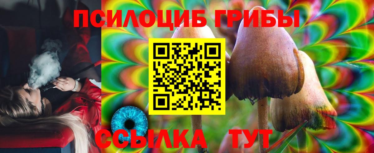 Реутов  где найти наркотики  Вход с VPN  Галлюциногенные грибы Psilocybe 